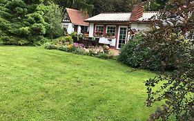 Ferienhaus zum Vogelnest